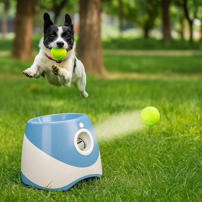 PLAYFETCH Automatic Ball Thrower