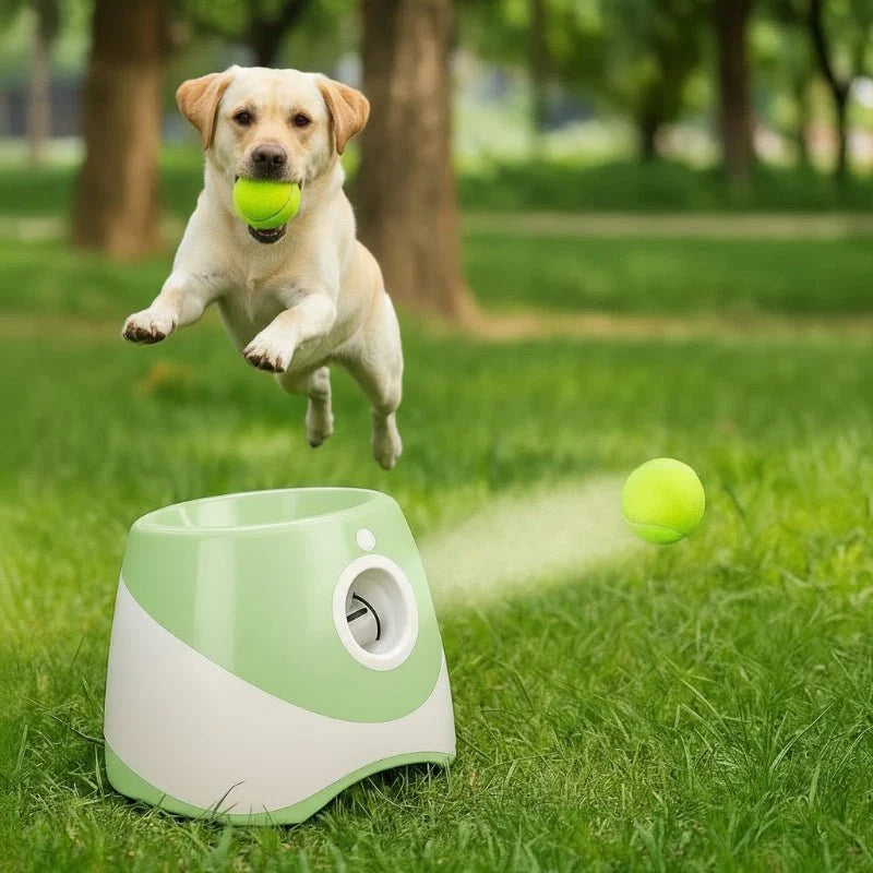 PLAYFETCH Automatic Ball Thrower
