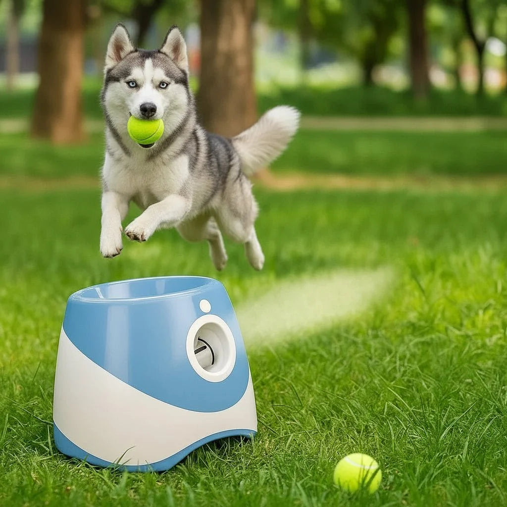 PLAYFETCH Automatic Ball Thrower