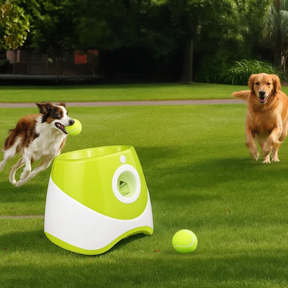 PLAYFETCH Automatic Ball Thrower