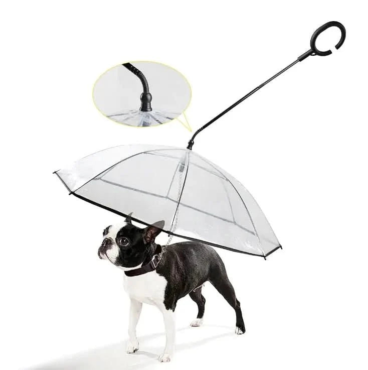 Rainguard Umbrella Transparent Umbrella